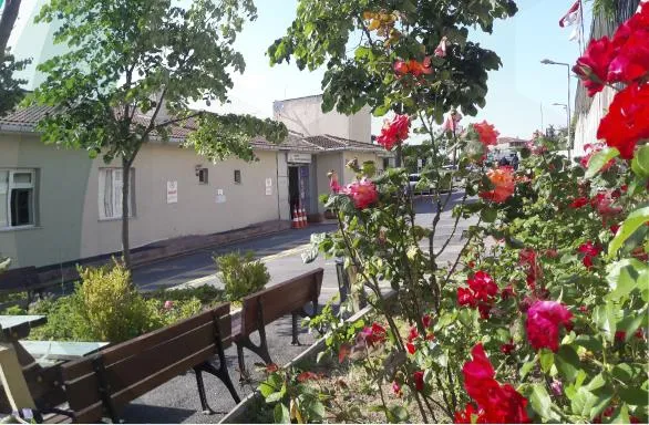 Beykoz Ağız ve Diş Sağlığı Merkezi