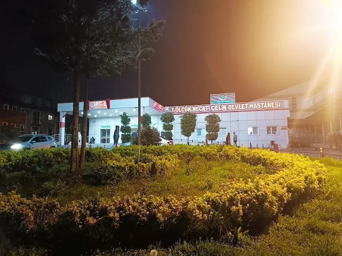 Gölcük Necati Çelik Devlet Hastanesi